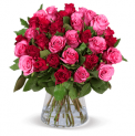 36 Pinke Rosen “Romantic-Roses” für 24,98€ inkl. Versand (statt 42€) 🌹