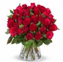 44 rote Rosen Neujahrskracher für 29,98€ inkl. Versand ( statt 48.98€ ) 🌹