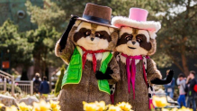 2 Nächte + 3 Tage Parkeintritt für 2 Erwachsene und bis zu 4 Kinder im Freizeitpark Slagharen für 130€