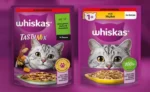 Gratis: 2 Proben WHISKAS 😻  “Huhn” und  “Tastymix”