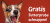 Gratis: JOSERA Hunde, Katzen oder Pferdefutterproben Kostenlos bestellen + 5,00 € Gutschein