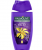 Amazon: Beauty Werbeaktion 5 ausgewählte Artikel kaufen & nur 4 bezahlen z.B.: Kneipp, Nivea, Palmolive