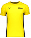 Puma BVB Dortmund Evostripe Herren Trainingsshirt (Gr. S bis 3XL) ab 16,19 € / Kinder Trainingsshirt (Gr. 128 bis 176) ab 13,49 € zzgl. 3,90 € Versand