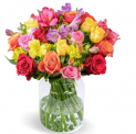 Rosen “Farbspiel” mit über 100 Blüten – nur 22,98€ inkl. Versand (statt 39,98€) 🌹