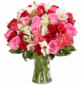 Blumenstrauß Rosenwunder XXL mit 30 Stielen und bis zu 100 Blüten für 25,98 € inkl. Versand