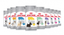 Gratis testen: Royal Canin Hundefutter gratis dank Cashback