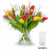 Tulpenstrauß Modern Love mit 20 bunte Tulpen mit Heidelbeeren + Gratis Vase für 25,98 € inkl. Versand 🌷