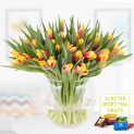 40 zweifarbige Tulpen 🌷 (rot-gelb) + 2 gratis Mini Schokis 🍫 für 24,95€ inkl Versand