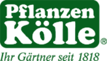 Schnittblumen zum Valentinstag versandkostenfrei bestellen! Gutscheincode für Pflanzen Kölle