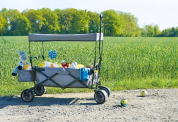 Pinolino Klappbollerwagen ‘Paxi’ grau – für 72,84€ inkl. Versand statt 87,69€